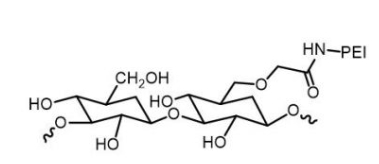 Dextran-PEI；葡聚糖-聚乙烯亚胺