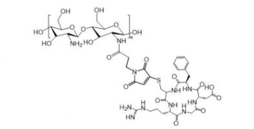 Chitosan-cRGD；壳聚糖-环肽cRGD