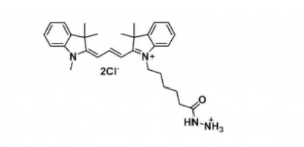 Cy3 hydrazide/Cyanine3 hydrazide/ 脂性Cy3-酰肼