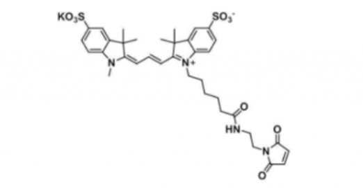 diSulfo-Cy3 maleimide/水溶性Cy3 maleimide/ 磺酸基Cy3-马来酰亚胺