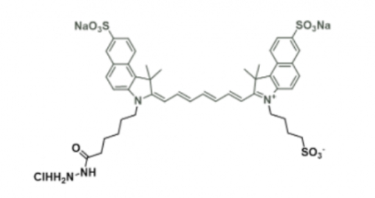 diSulfo-ICG Hydrazide/水溶性ICG Hydrazide/水溶性吲哚菁绿-酰肼