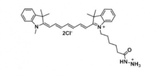 Cy7 hydrazide/Cyanine7 hydrazide/脂性Cy7-酰肼