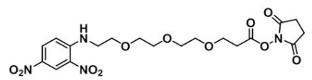 DNP-PEG3-NHS ester   分子式 C19H24N4O11