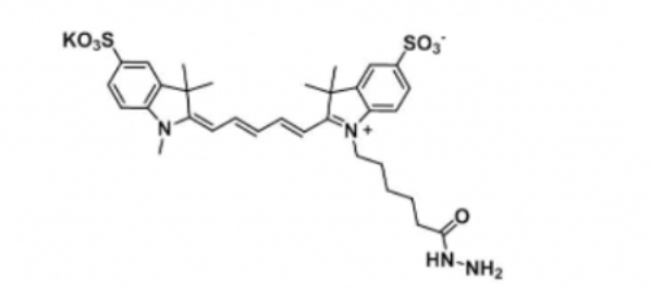 diSulfo-Cy5 hydrazide/水溶性Cy5 hydrazide/二磺酸基Cy5 酰肼