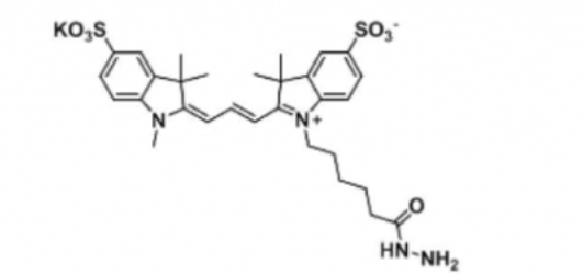 diSulfo-Cy3 hydrazide/水溶性CY3 hydrazide/二磺酸基Cy3-酰肼