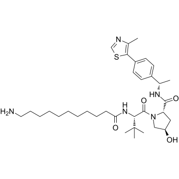 2376139-52-3	(S,R,S)-AHPC-Me-C10-NH2   PROTAC(蛋白降解靶向嵌合体)