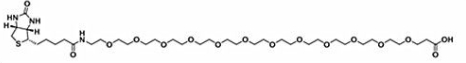  1621423-14-0 Biotin-PEG12-Acid  生物素-十二聚乙二醇-羧基