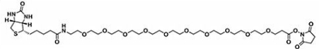Biotin-PEG10-NHS ester  生物素十聚乙二醇活性酯