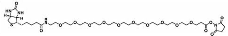Biotin-PEG10-NHS ester  生物素十聚乙二醇活性酯