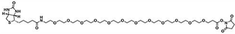 365441-71-0  Biotin-PEG12-NHS ester  生物素十二聚乙二醇活性酯