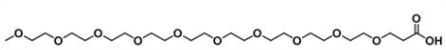 mPEG10-Acid；m-PEG10-COOH  甲氧基十聚乙二醇羧基