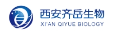 1404111-56-3 ，CHO-Ph-PEG3-amine TFA