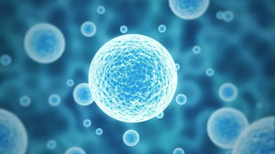 FITC-Dextran5K 葡聚糖-异硫氰基荧光素,绿色荧光素FITC标记葡聚糖