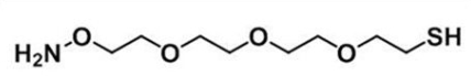 1200365-63-4   Amineoxy-PEG3-thiol HCl salt  氨氧基-三聚乙二醇-硫醇HCl盐