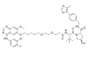 2230821-27-7	Gefitinib-based PROTAC 3 PROTAC(蛋白降解靶向嵌合体)