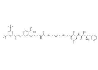 1351169-27-1，PROTAC RAR Degrader-1，PROTAC(蛋白降解靶向嵌合体)