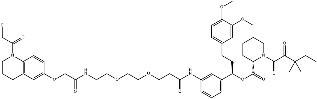 2384184-40-9	KB02-SLF PROTAC(蛋白降解靶向嵌合体)