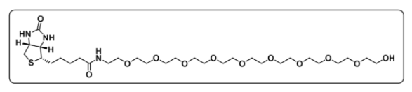 Biotin-PEG10-OH