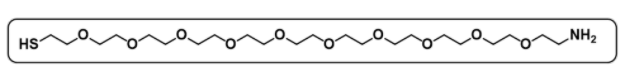 Thiol-PEG10-NH2