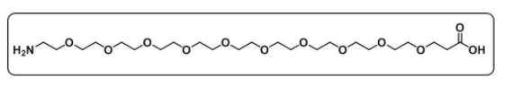 Amino-PEG10-COOH