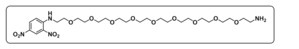 DNP-PEG9-NH2