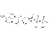 三磷酸腺苷二钠	  