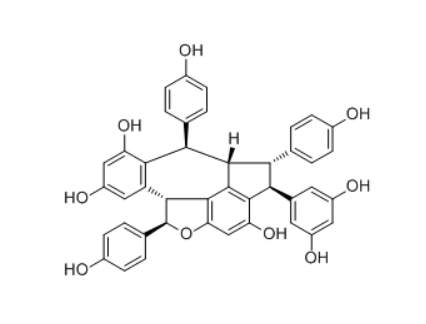 CAS:287101-82-0    Vaticanol A  分子式：C42H32O9