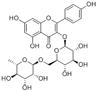 CAS ：17650-84-9   Nicotiflorin  山奈酚-3-O-芸香糖苷