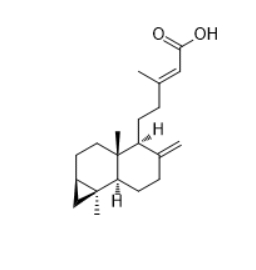 CAS ：113626-22-5  Metasequoic acid A  植物提取物