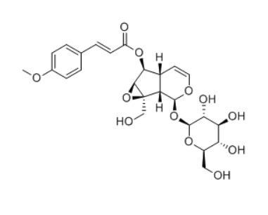 CAS ：121710-02-9  6-O-p-Methoxycinnamoylcatalpol  环烯醚萜苷