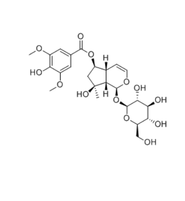 CAS ：144049-72-9  6-O-Syringoylajugol   C-11降环烯醚萜