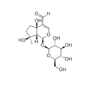 CAS ：76994-07-5  Euphroside    角蒿属