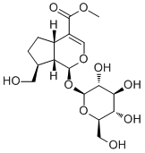 CAS ：42830-26-2  Adoxoside   植物提取物