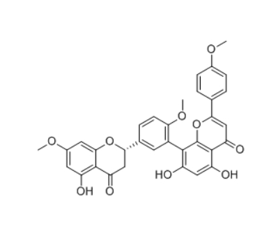  CAS ：34421-19-7   2,3-Dihydrosciadopitysin      2,3-二氢金松双黄酮