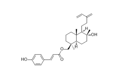 CAS ：117254-98-5   8α-Hydroxylabda-13(16),14-dien-19-yl p-hydroxycinnamate  