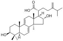 CAS ：6754-16-1  Dehydrotumulosic acid  去氢土莫酸