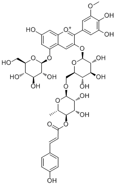 CAS ：69915-09-9  Petanin  植物提取物