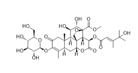 CAS ：99132-97-5   Yadanzioside L     鸦胆子苷L