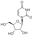 CAS ：58-96-8  Uridine 尿苷