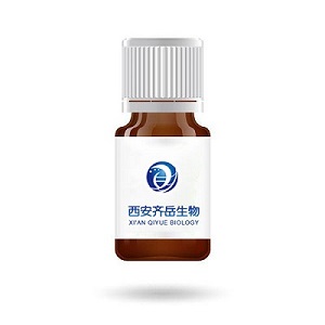 氧化锌-碳纳米纤维复合材料(ZnO-CNF)