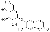  CAS：531-75-9   Esculin  秦皮甲素   原料药供应