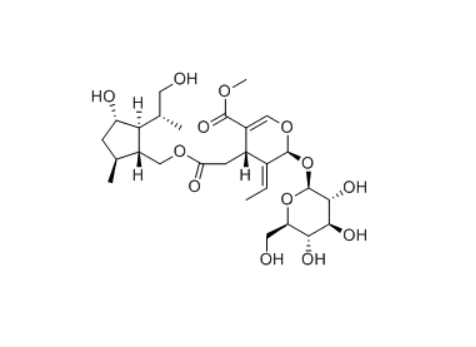 CAS ：454212-54-5  Nudifloside D   原研药中间体供应