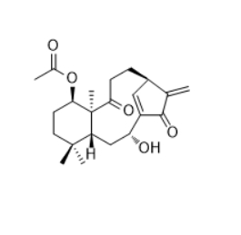 CAS ：885315-96-8   Kongensin A   规模供应