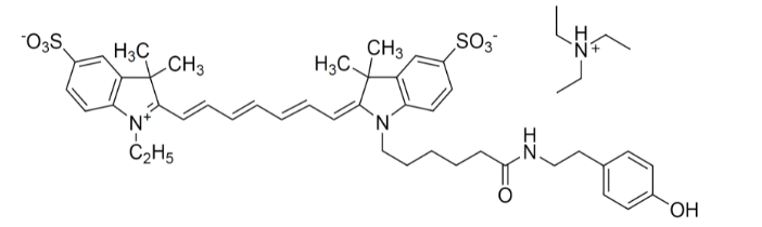 Cy7 tyramide