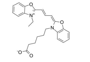 Cyanine2