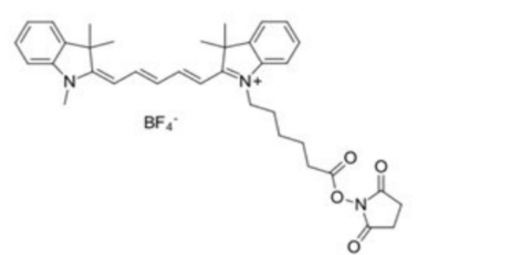 Sulfo-Cyanine5 NHS ester