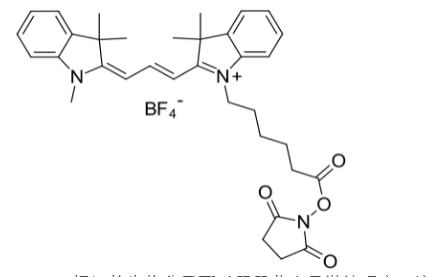 Cyanine3 NHS ester