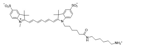 Sulfo-Cyanine7 amine