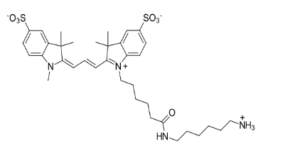 Sulfo-Cy3 NH2