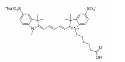 Sulfo-Cyanine5 Carboxylic acids
